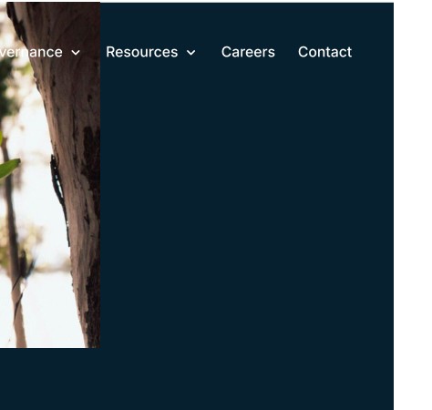 Tree branches symbolising growth